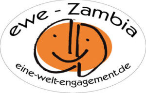 eine-welt-engagement.de
